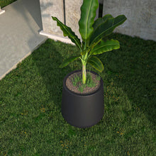 Orchid Seires Poly Stone Planter in Black 17.7 Dia 17.7 High