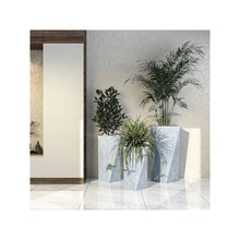 Aloe Series Planter set in Grey