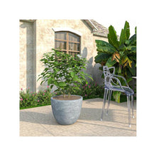 Dahlia Series Poly Stone Planter in Aged Concrete 21.3 Dia, 15.7 High