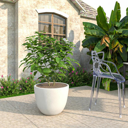 Dahlia Series Poly Stone Planter in White 21.3 Dia, 15.7 High