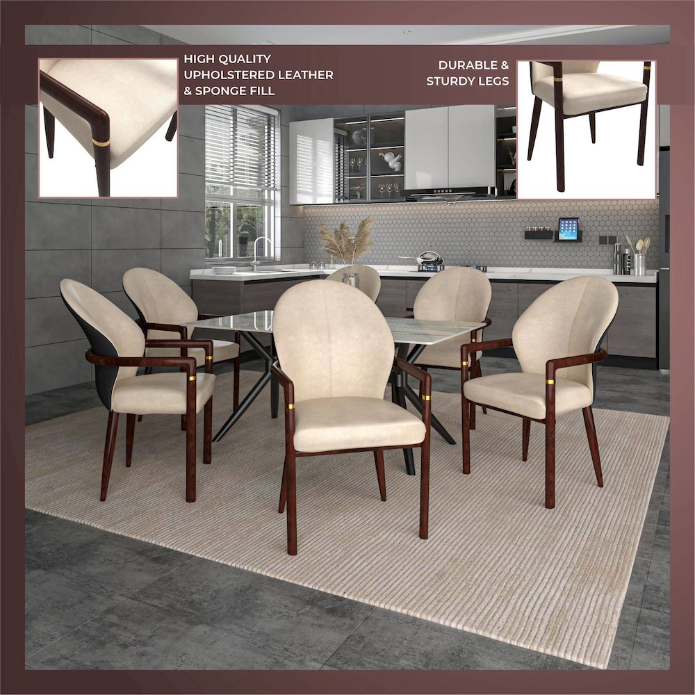 Opaline Series Elegant Wooden Dining Chair in Black Velvet and Toupe - Set of 2