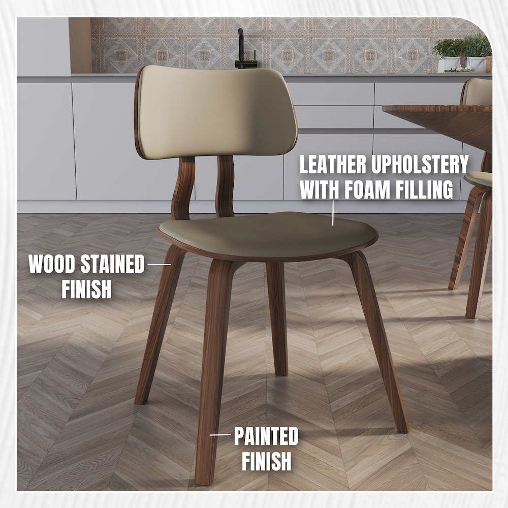 Modern Wooden Dining Chair