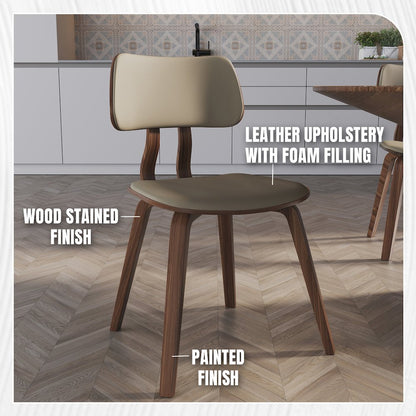 Modern Wooden Dining Chair