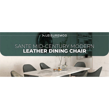 Sante Collection Modern Dining Chair in Grey