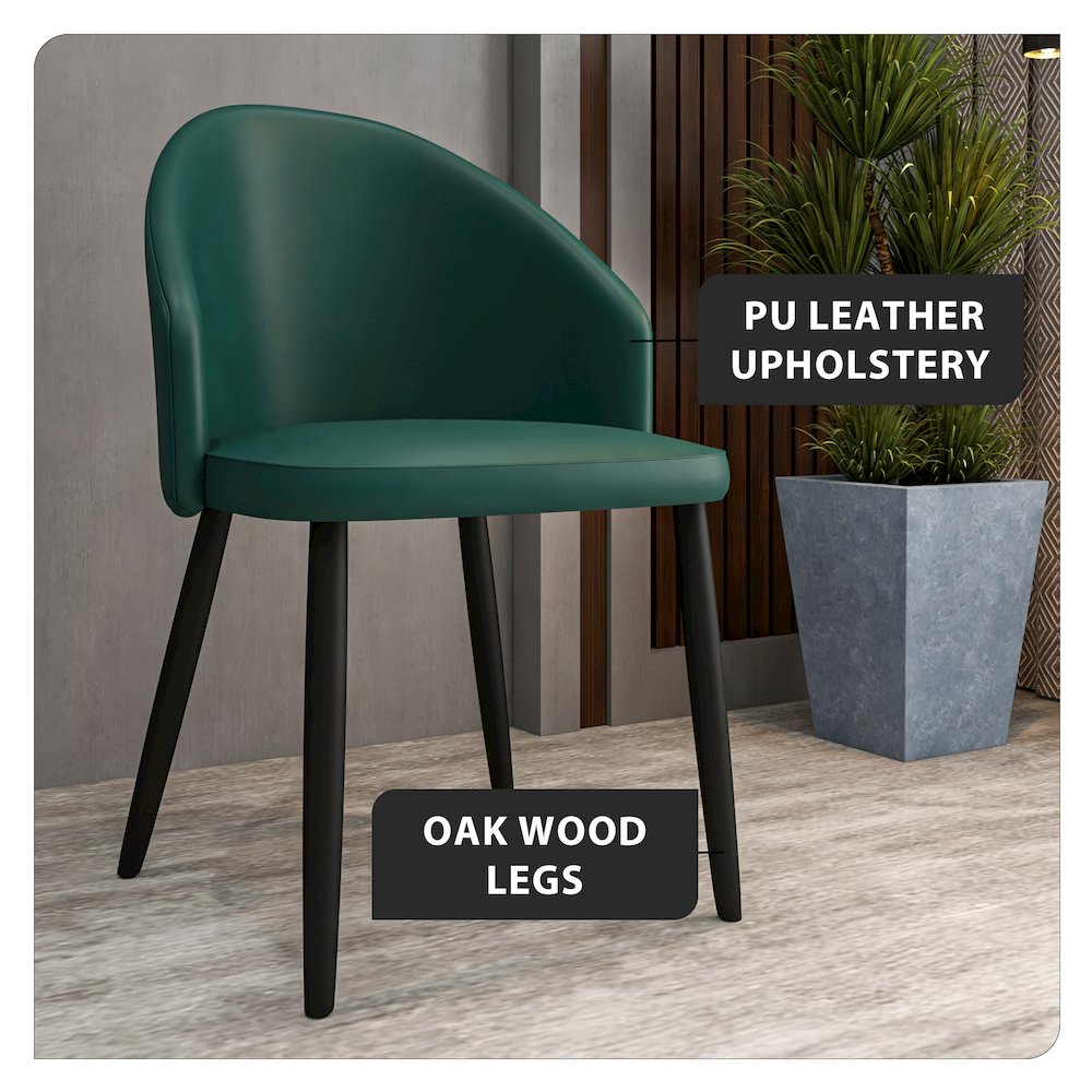 Paradiso Collection Modern Dining Seat in Green  Set of 2