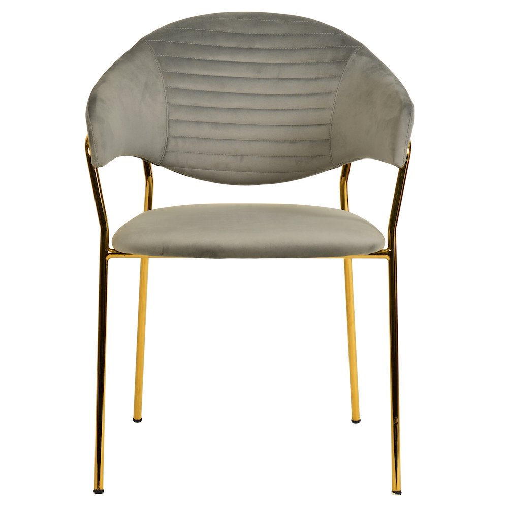 Bella Collection Modern Dining Chair in Light Grey Set of 2