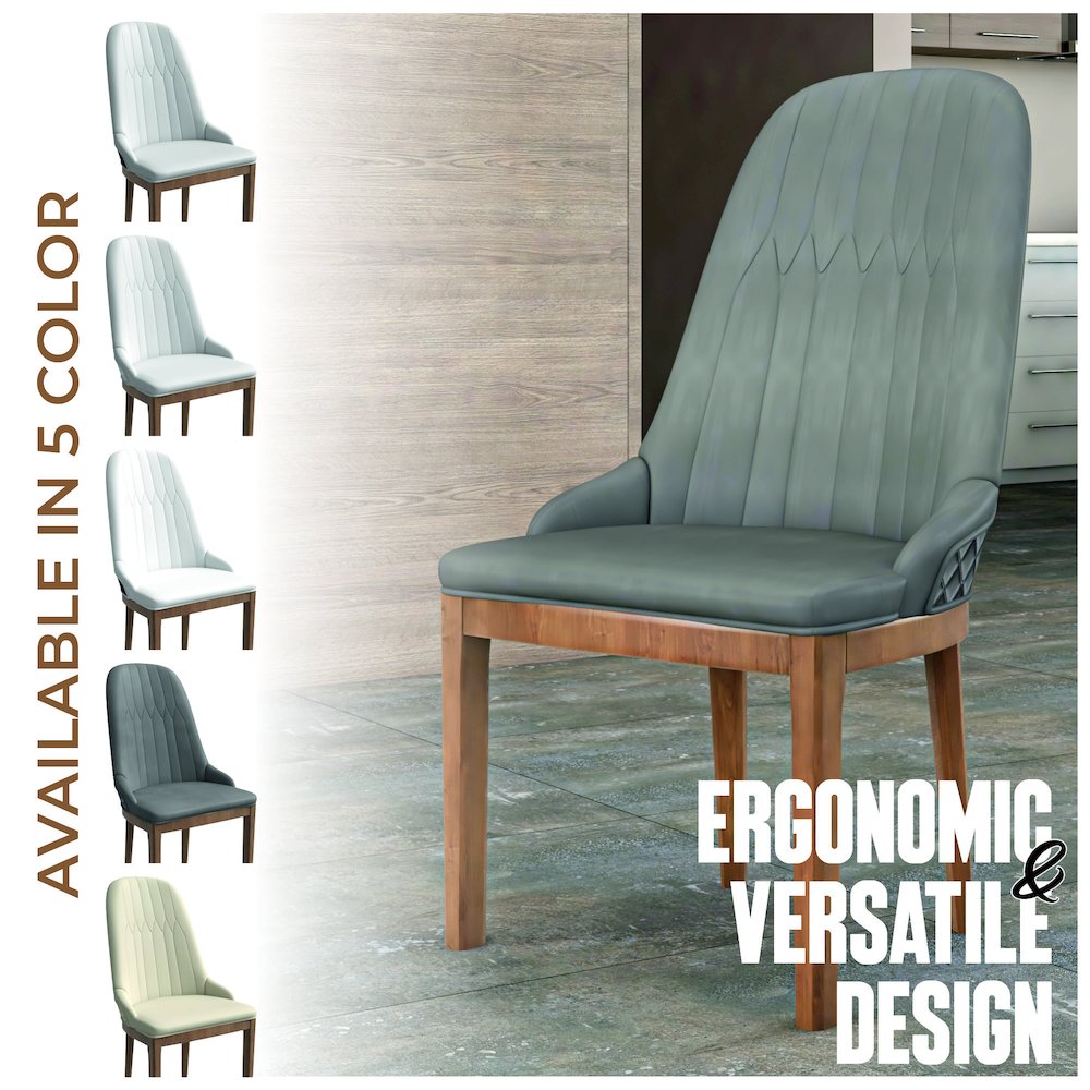 Verisma Collection Modern Wooden Dining Chair in Grey Set of 2