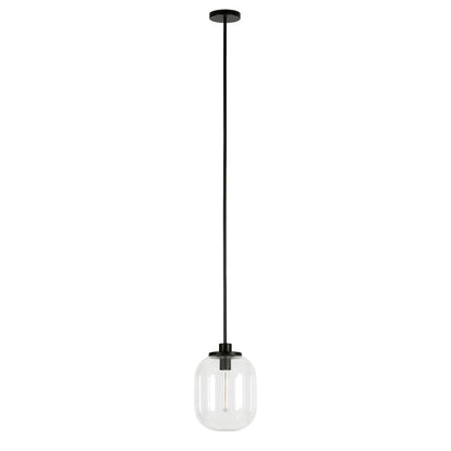 9" Pendant Light Fixture with Glass Globe Shade and 8' Adjustable Cord, Black