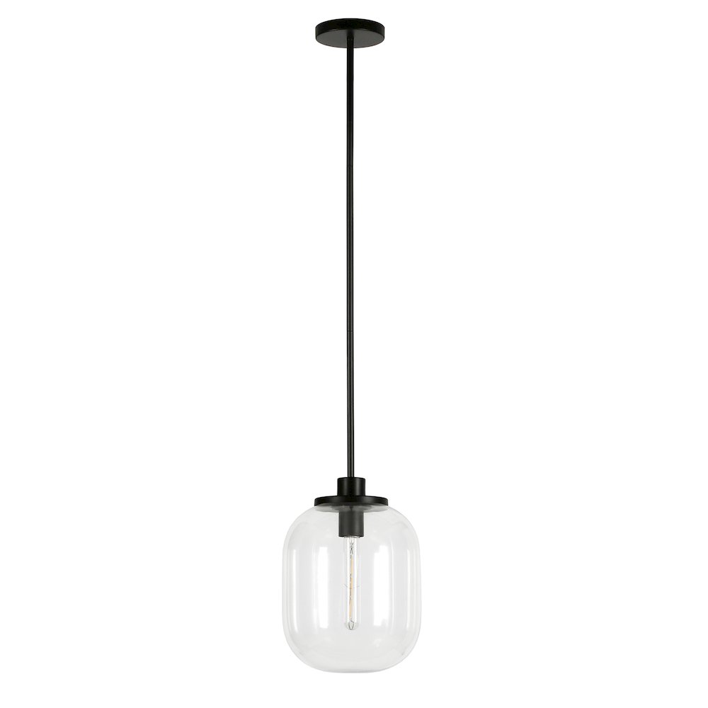 9" Pendant Light Fixture with Glass Globe Shade and 8' Adjustable Cord, Black