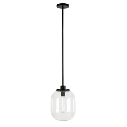 9" Pendant Light Fixture with Glass Globe Shade and 8' Adjustable Cord, Black