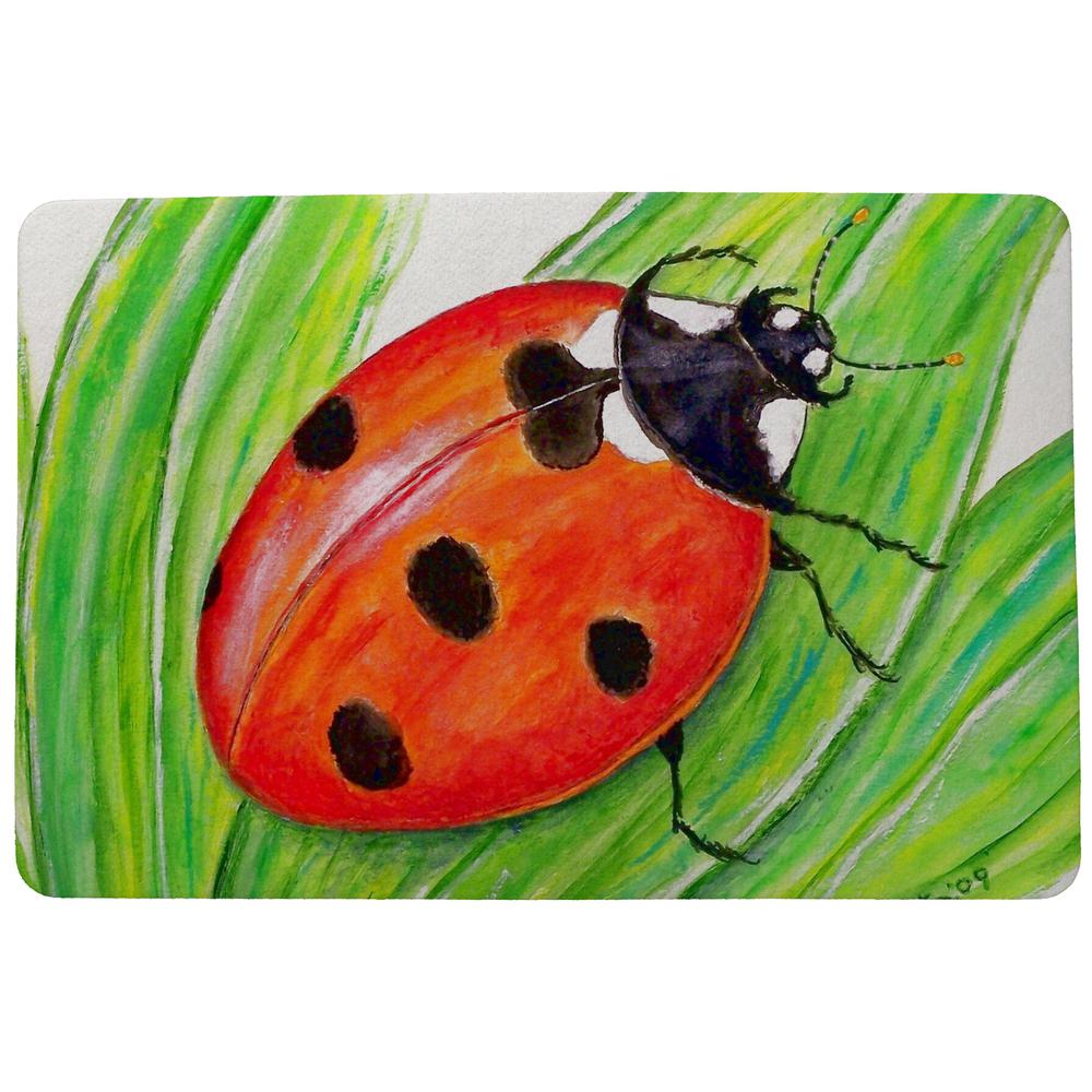 Lady Bug Door Mat 18x26