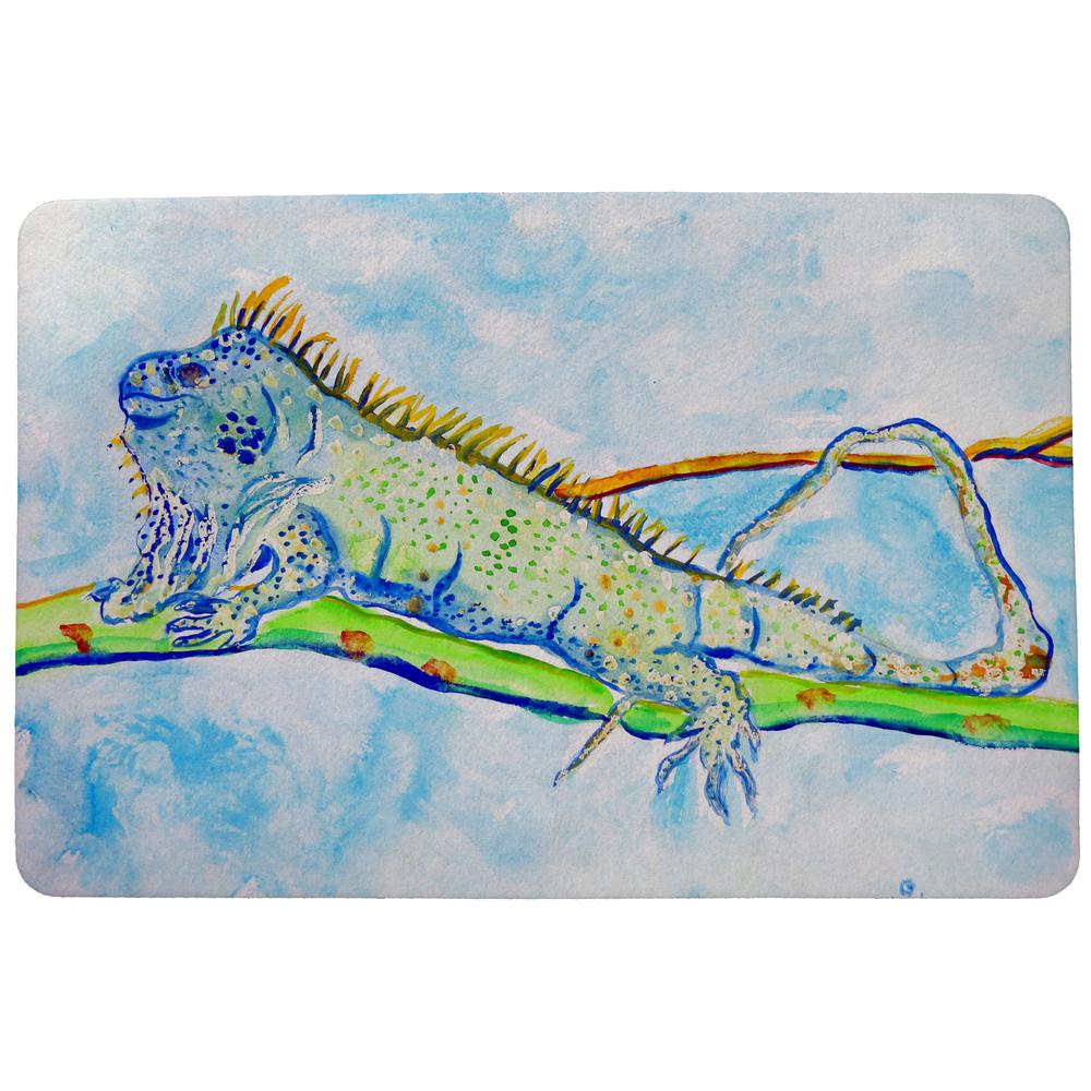 Iguana Door Mat 18x26
