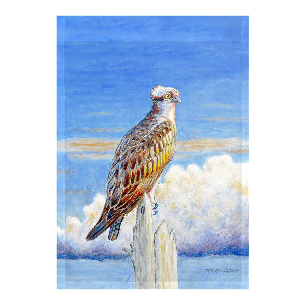 Osprey Storm Flag 12.5x18