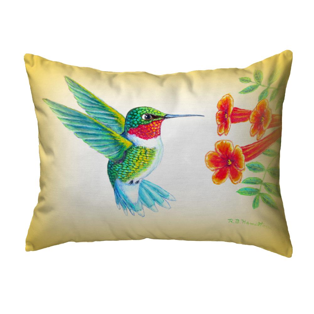 Dick's Hummingbird Noncorded Indoor/Outdoor Pillow 11x14