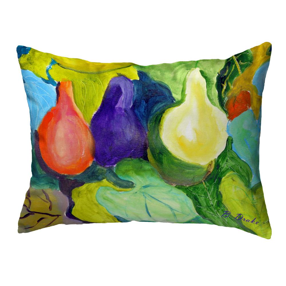 Gourds No Cord Pillow 16x20