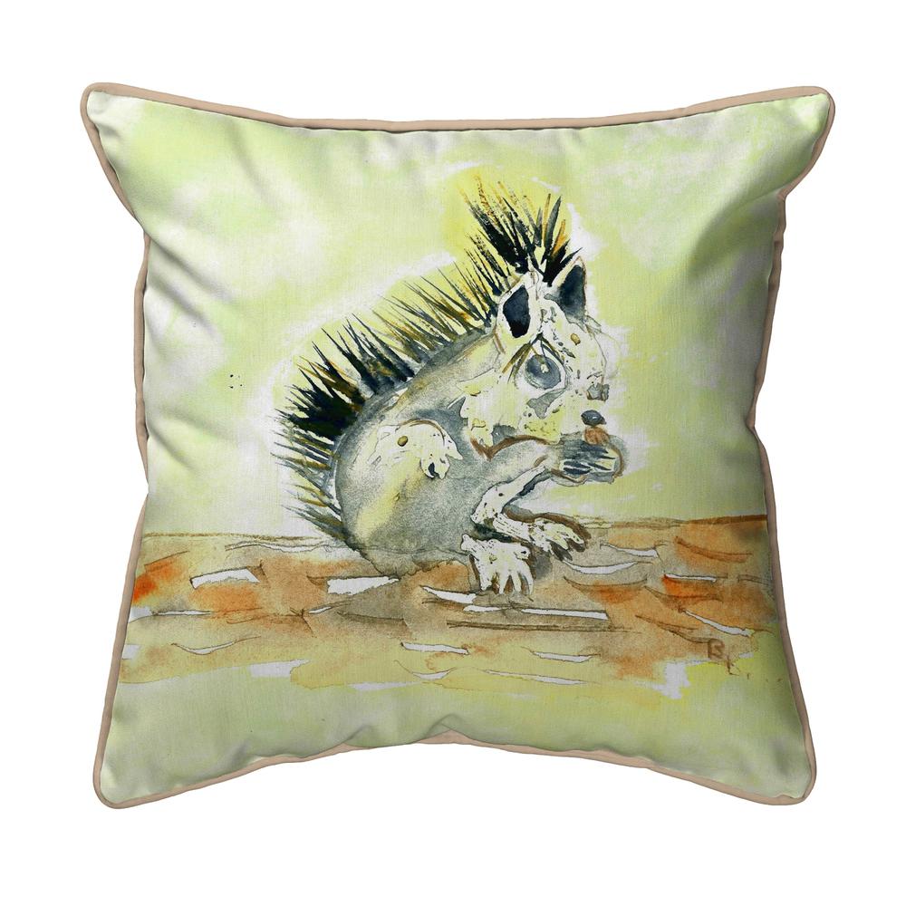 Baby Squirrel Extra Large Zippered Pillow 22x22