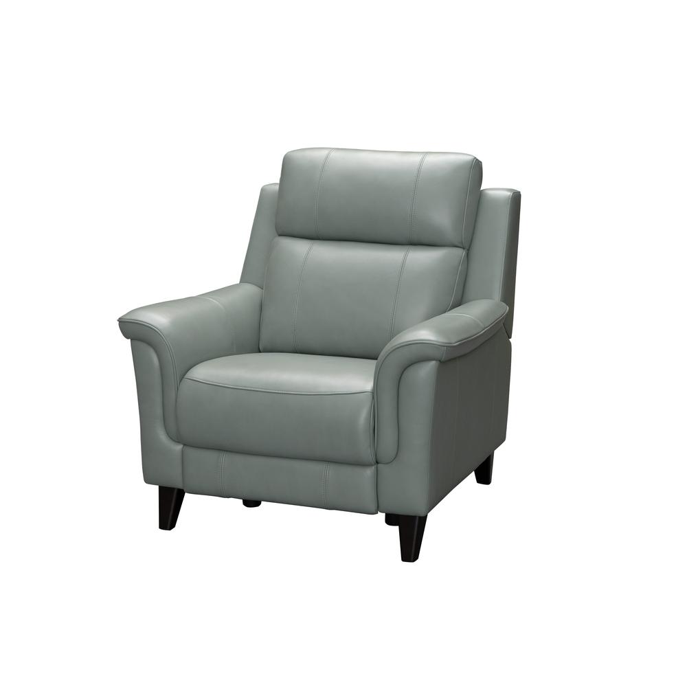 Kester Power Recliner w/Power Head Rest