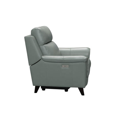 Kester Power Recliner w/Power Head Rest