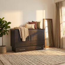 Coffee Wood Queen Size Cabinet Bed with Black Finish and Murphy Wall Design