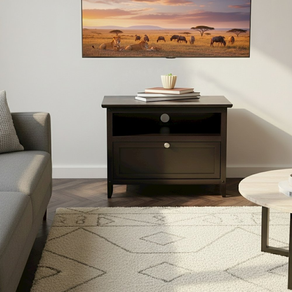 Small Wooden TV Stand With Shelf And Pull Down Door For Living Room