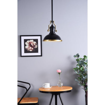 Eamon 1 Light matte black Pendant