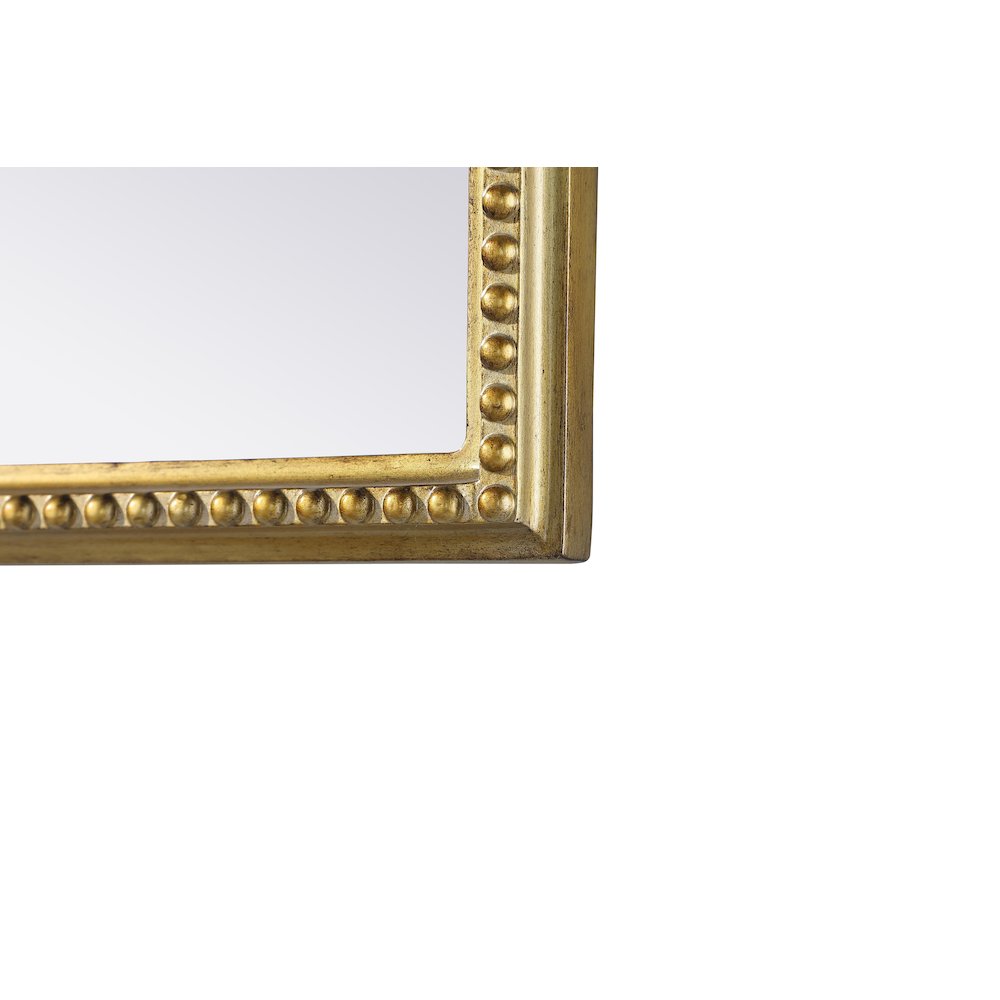 Naomi Vintage Resin Mirror 24x42 in Antique Brass