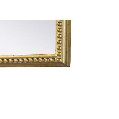 Naomi Vintage Resin Mirror 24x42 in Antique Brass