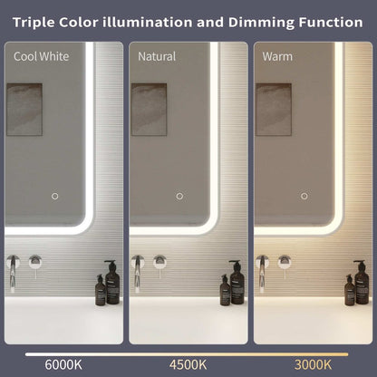 48 Inch Rectangle LED Front and Backlit Wall Mirror in Silver