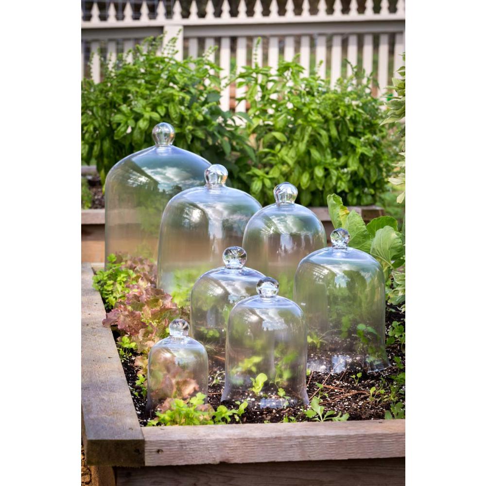 Extra Lg Bell Jar 16'' X 12''