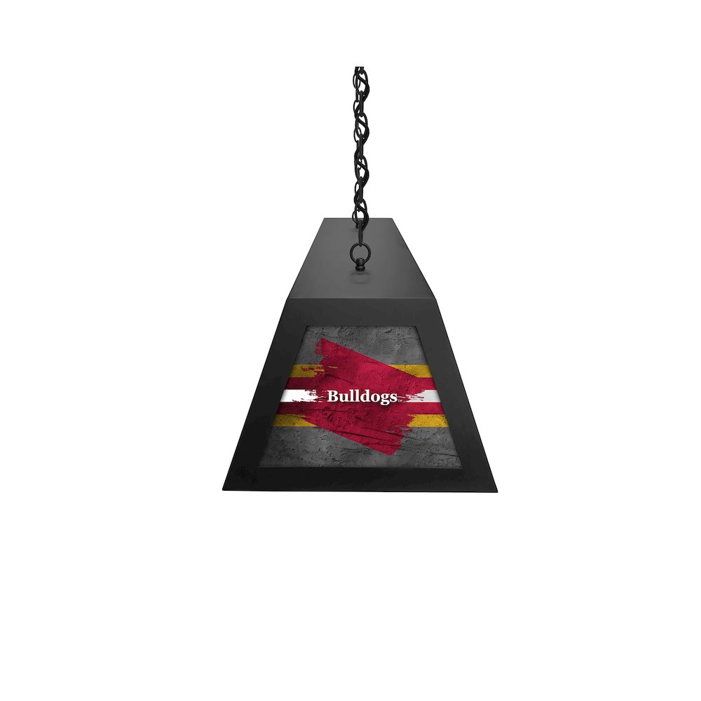Ferris State University Long Box Billiard Light