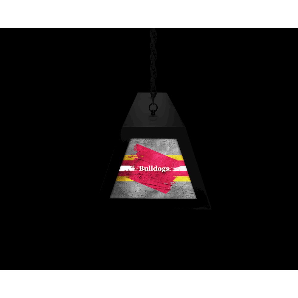 Ferris State University Long Box Billiard Light