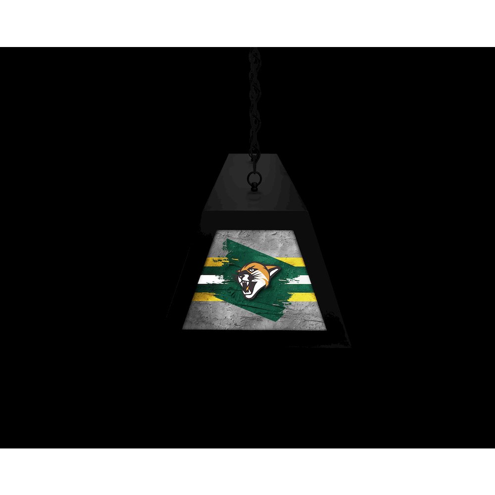 University of Vermont Long Box Billiard Light