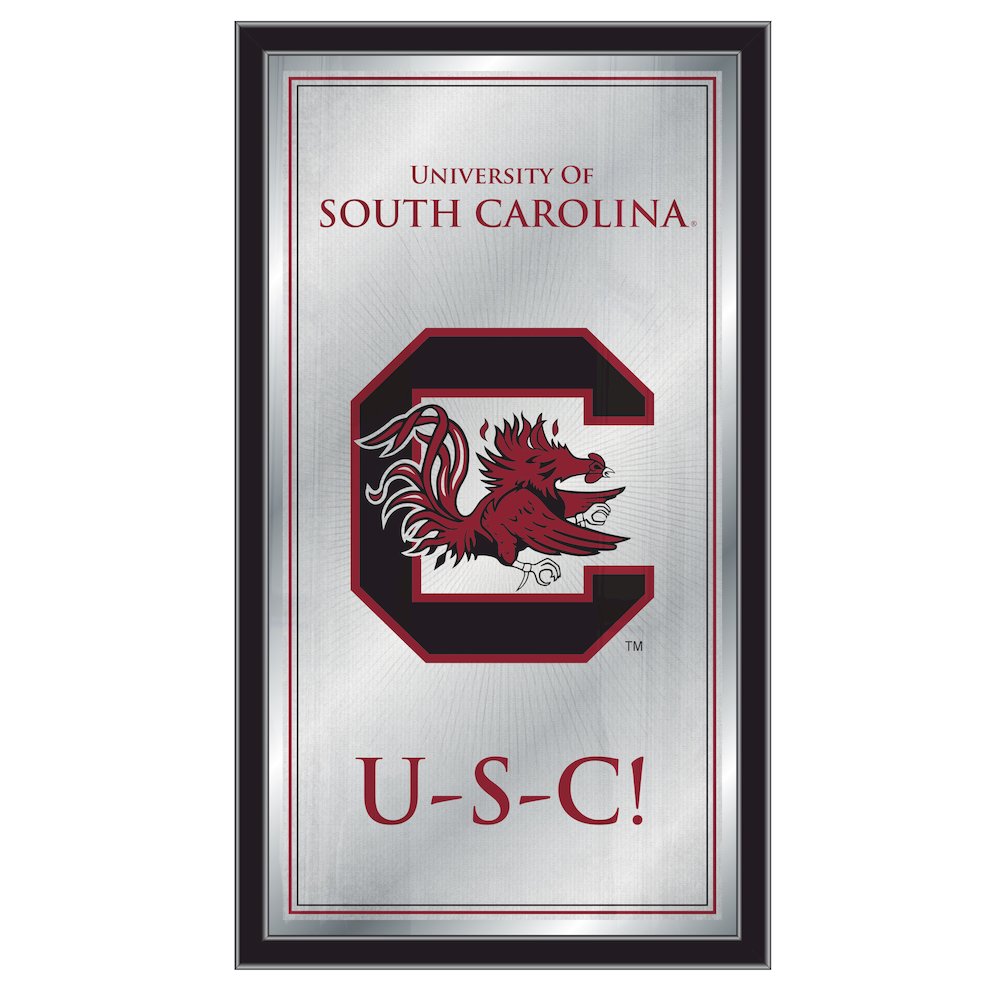 South Carolina 26" x 15" Fight Song Mirror