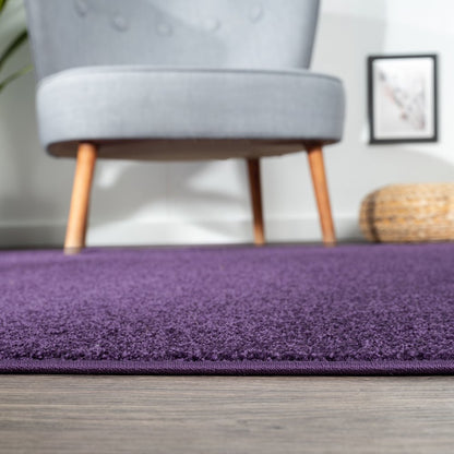 Haze Solid Low-Pile Area Rug