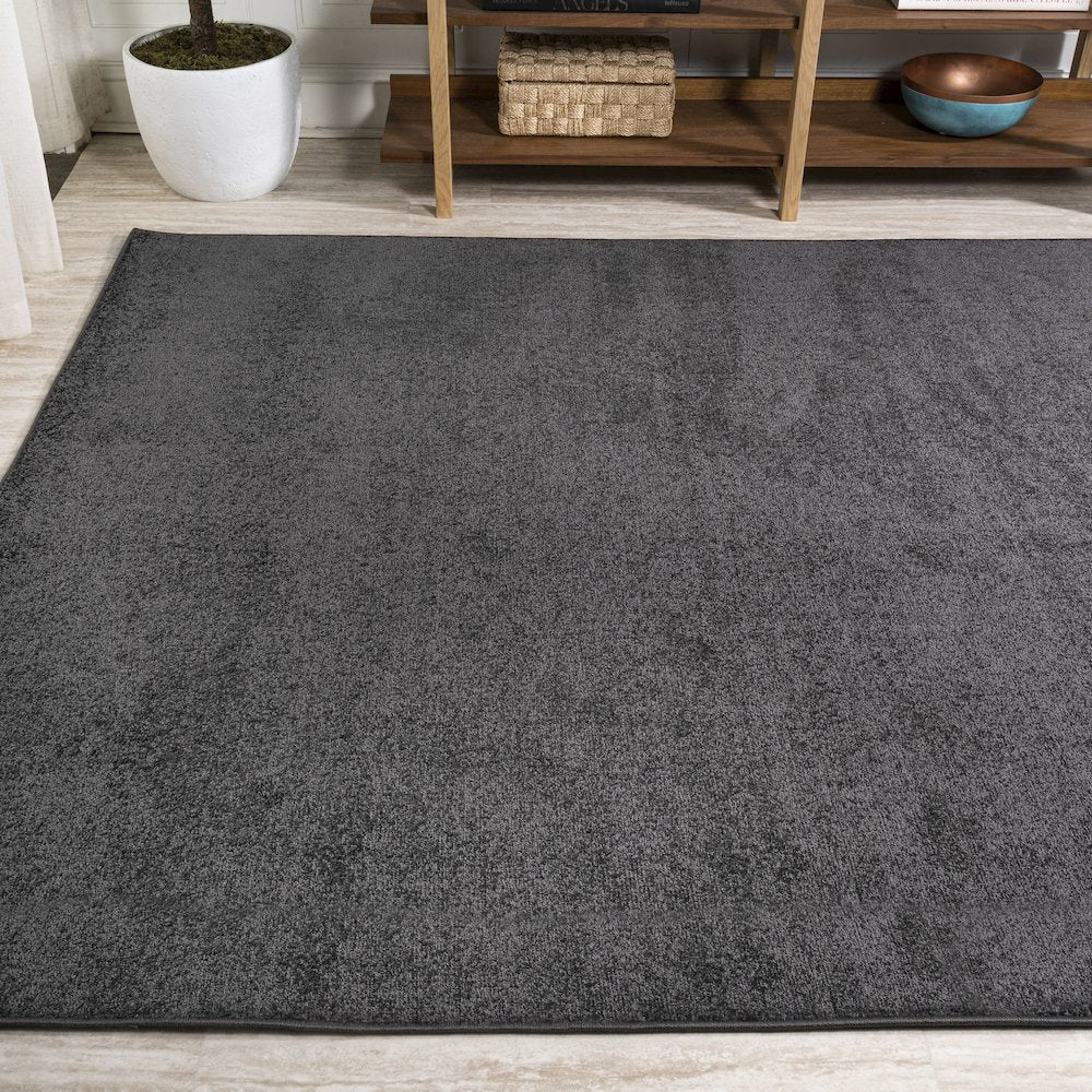 Haze Solid Low Pile Area Rug Black