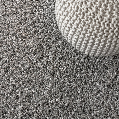 Mercer Shag Plush Tassel Area Rug