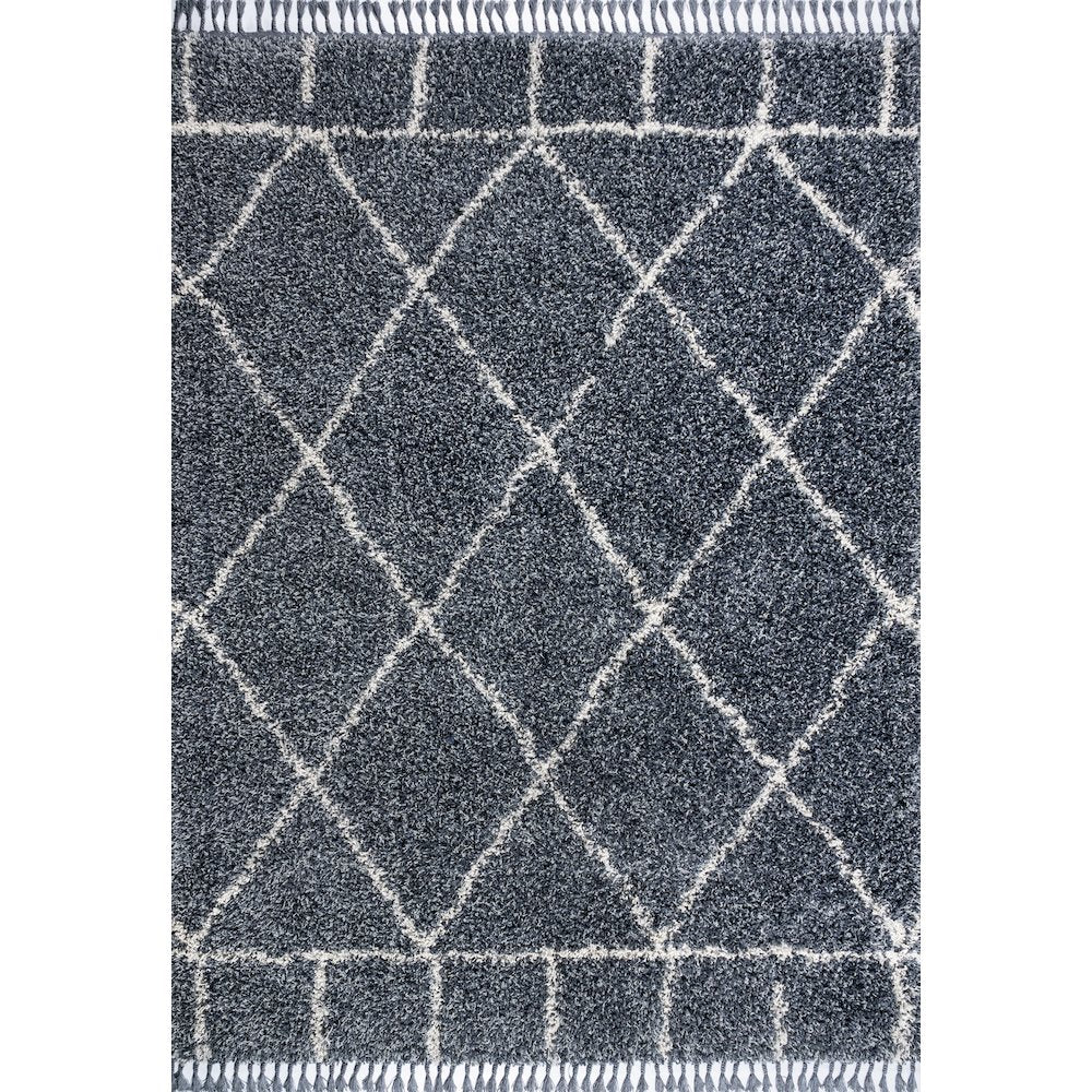 Mercer Shag Plush Tassel Moroccan Geometric Trellis Area Rug