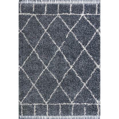 Mercer Shag Plush Tassel Moroccan Geometric Trellis Area Rug