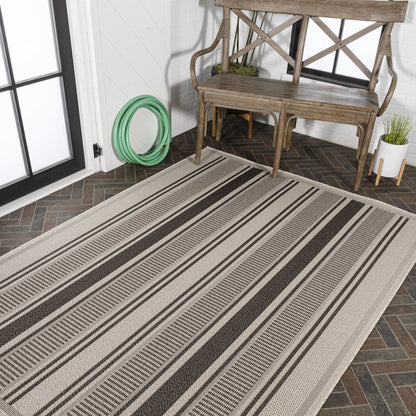 Haynes Modern Double Stripe Indoor/Outdoor Area Rug