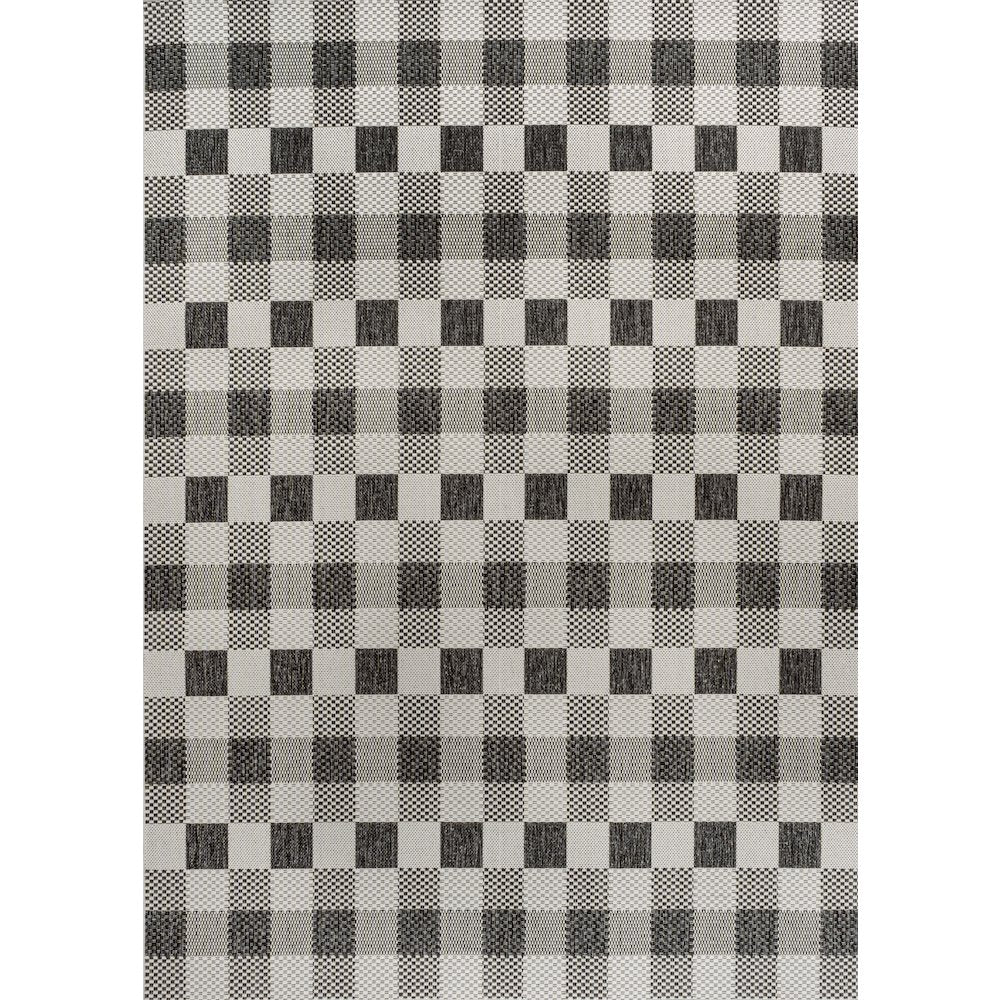 Darcy Traditional Geometric Bold Gingham Indoor/Outdoor Area Rug