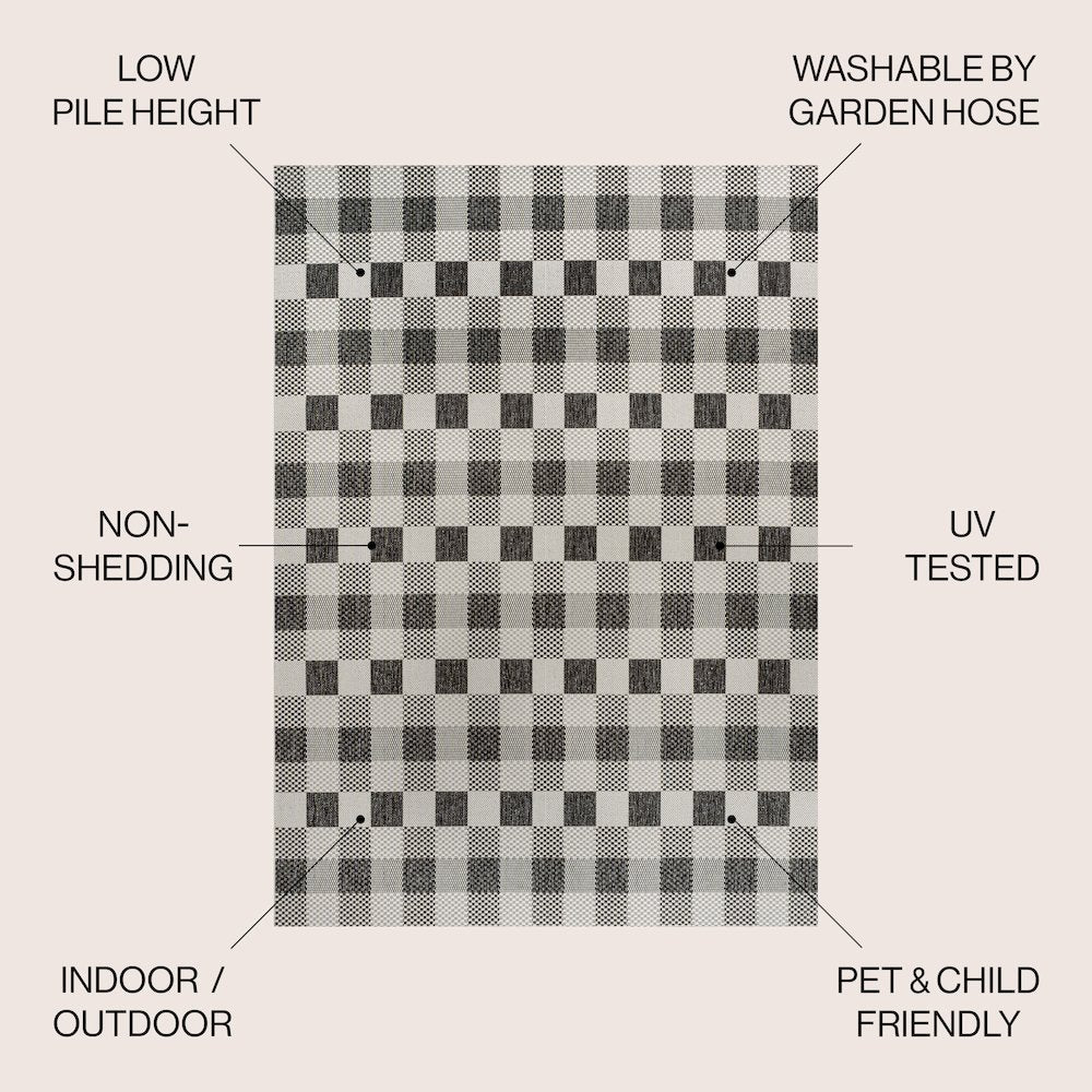 Darcy Traditional Geometric Bold Gingham Indoor/Outdoor Area Rug