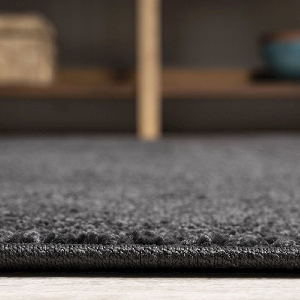 Haze Solid Low-Pile Area Rug