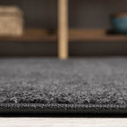 Haze Solid Low-Pile Area Rug