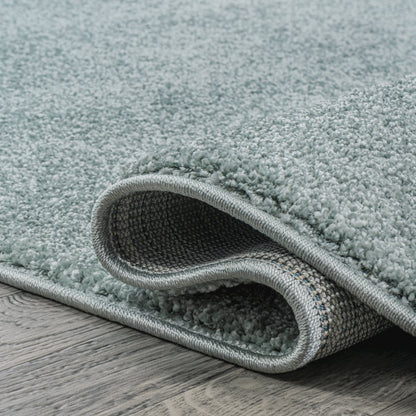 Haze Solid Low-Pile Area Rug