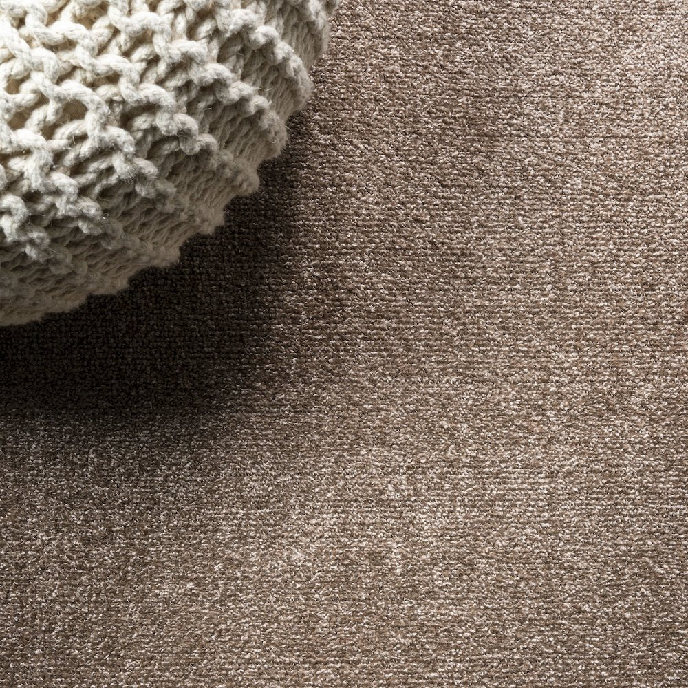 Haze Solid Low-Pile Area Rug