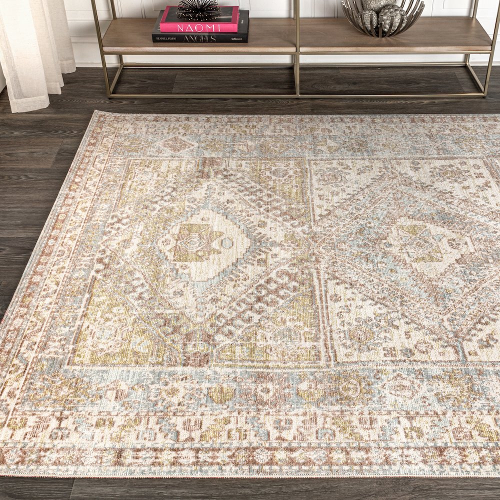 Darija Ornate Geometric Medallion Area Rug
