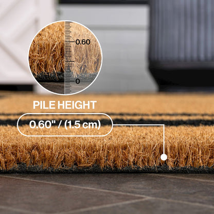 Blaire Classic Double Border Natural/Black 5 ft. x 8 ft. Indoor/Outdoor Area Rug