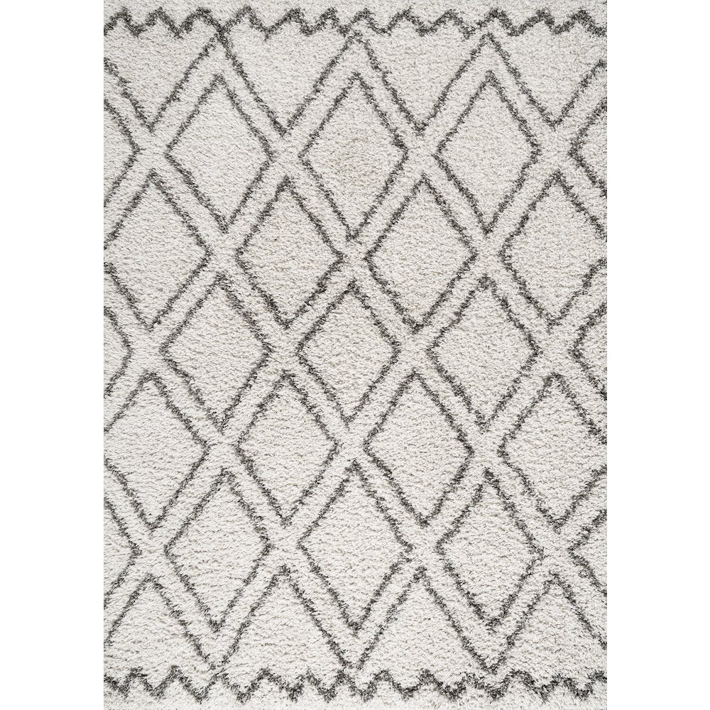 Soller Diamond Trellis Shag Area Rug