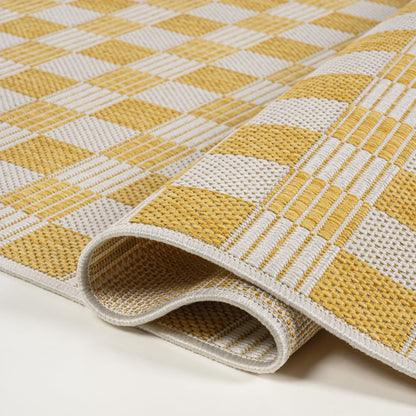 Aimee Traditional Cottage Checkerboard Indoor/Outdoor Area Rug