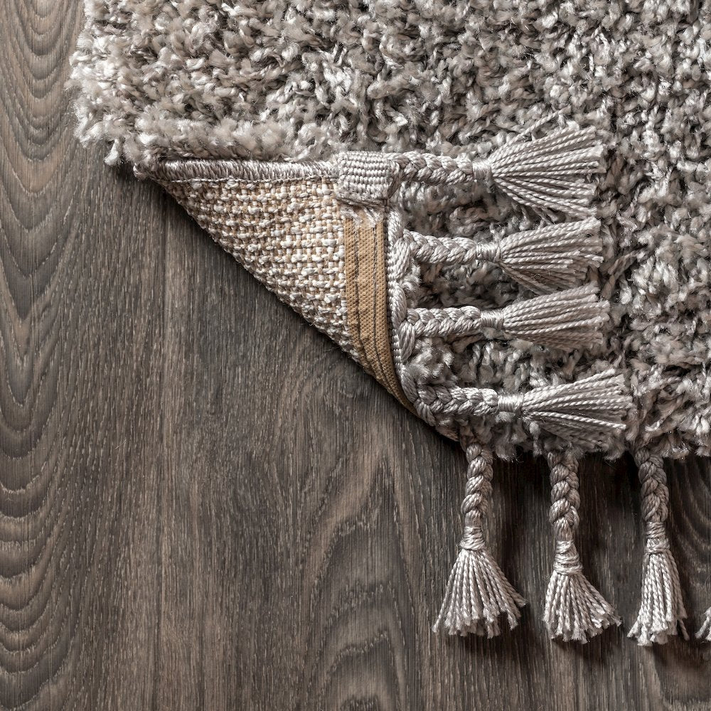 Mercer Shag Plush Tassel Area Rug
